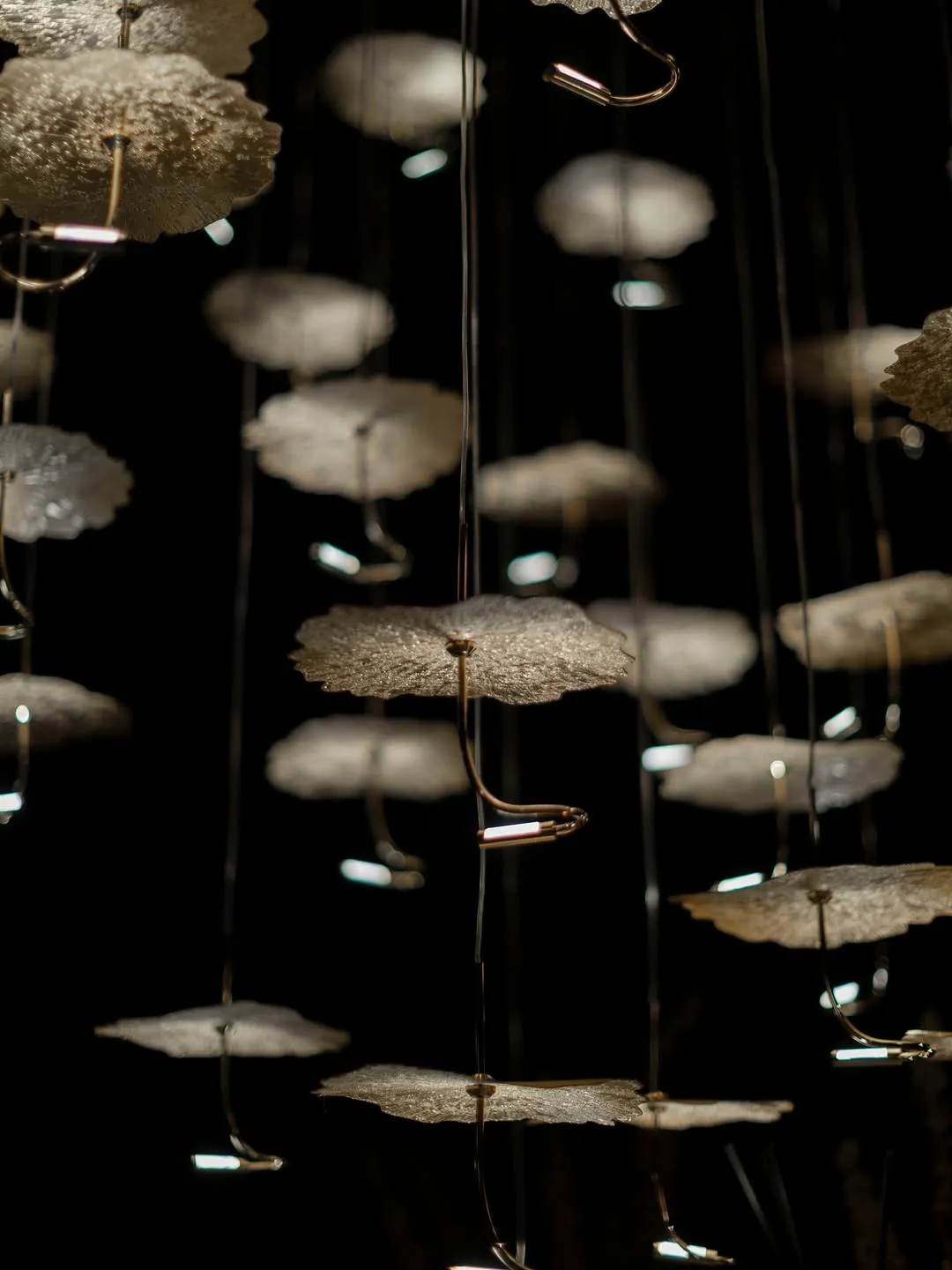 Suspended gold discs lit against a dark ceiling